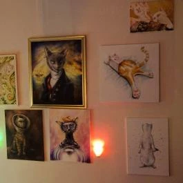 Whiskers Cat Pub Budapest - Belső