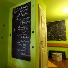 Whiskers Cat Pub Budapest - Belső