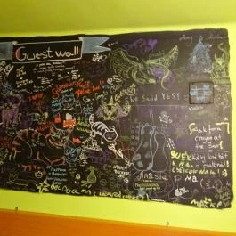 Whiskers Cat Pub Budapest - Belső