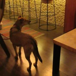 Wine Not? Hungarian Wine Shop & Bar Budapest - Egyéb