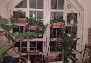 Wine the Gap Budapest Budapest