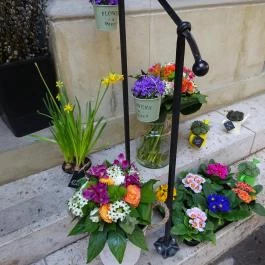 Wines 'n' Roses Budapest - Egyéb