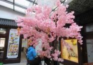 YY Liangpi - Asian Street Food Budapest