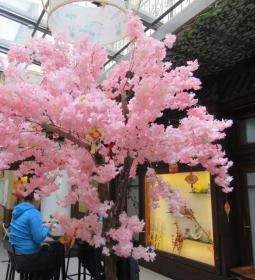 YY Liangpi - Asian Street Food