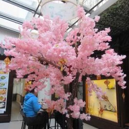 YY Liangpi - Asian Street Food Budapest - Egyéb