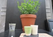 Zërgë Coffeeshop Budapest