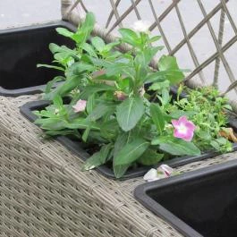 Zabrakadabra - Oktogon Budapest - Egyéb