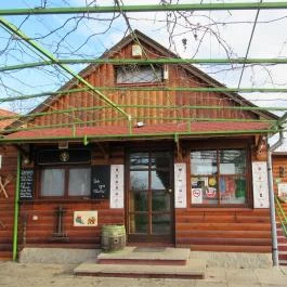 Kilátó Terasz Zamárdi - Egyéb