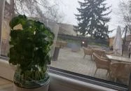 Zamatic Deli & Caffé Budapest