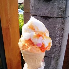 Zebra Fagyizó, Gárdony - Étel/ital