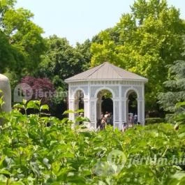 Zenepavilon Siófok Siófok - Egyéb