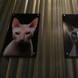 Zeya Restaurant Budapest - Mosdó