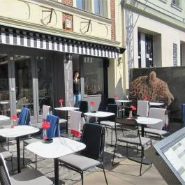 Zileat Brunch & Bistro Budapest - Egyéb