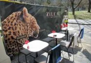 Zileat Brunch & Bistro Budapest