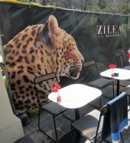 Zileat Brunch & Bistro