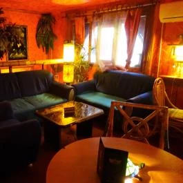 Zöld Teknős Barlangja - Native Teaház Budapest - Belső