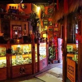 Zöld Teknős Barlangja - Native Teaház Budapest - Belső