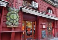 Zöld Teknős Barlangja - Native Teaház Budapest