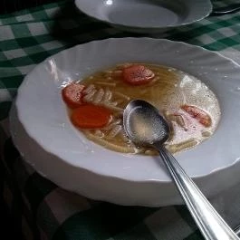 Zöldlugas Panzió és Étterem Balatonlelle - Étel/ital