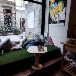 Zoska Reggeliző Kávézó Budapest - Belső