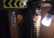 Zsír (Fővárosi Kulipintyó) Budapest