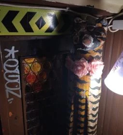 Zsír (Fővárosi Kulipintyó)