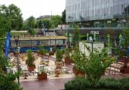 Zsiráf Sörkert Budapest