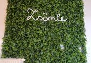 Zsömle, kézműves pékség Budapest