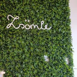 Zsömle, kézműves pékség Budapest - Belső