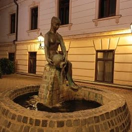 Zsuzsi szobor Veszprém - Egyéb