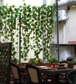 Zuni - Vietnamese Food & Bar