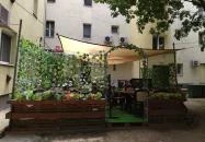 Zuni - Vietnamese Food & Bar Budapest