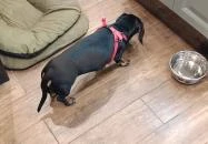 Zuzu Cafe & Bakery Budapest