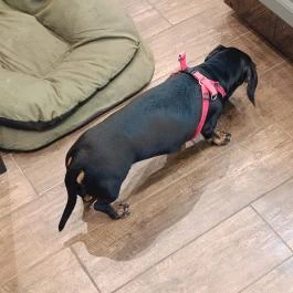 Zuzu Cafe & Bakery Budapest - Egyéb