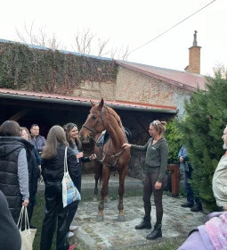 Henry Milne Angol Lovastörténelmi Villamúzeum Fotó & Filmstúdió