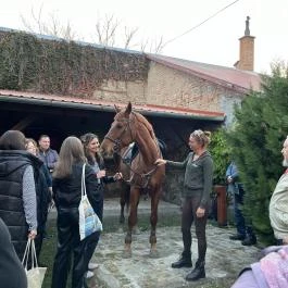 Henry Milne Angol Lovastörténelmi Villamúzeum Fotó & Filmstúdió Tata - Egyéb