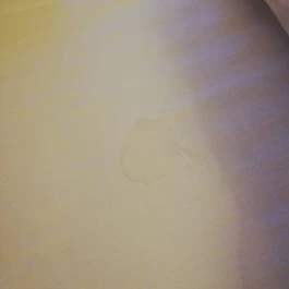 Két Korona Konferencia & Wellness Hotel, Balatonszárszó - Egyéb