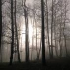 Hotel Ózon & Luxury Villas Mátraháza - Környék