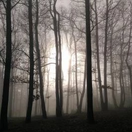 Hotel Ózon & Luxury Villas , Mátraháza - Környék