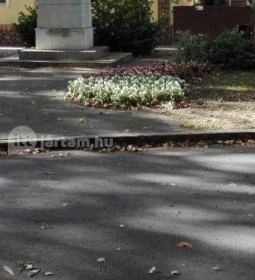 Fekete Macska Panzió