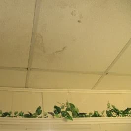 Kastély Villa Miskolc - Egyéb