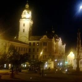 Hotel Palatinus City Center, Pécs - Környék