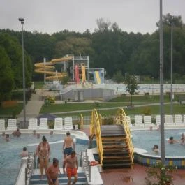 Karos Relax Panzió, Zalakaros - Medence/kert