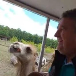 Richter Safari Park Nagykőrös - Egyéb