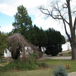 Anna Grand Hotel Balatonfüred - Környék