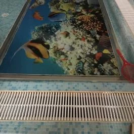 Borostyán Med Hotel, Nyíradony-Tamásipuszta - Belső