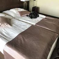 Gunaras Resort Spa Hotel Dombóvár - Szobák