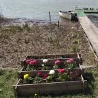 Duna Relax & Event Hotel Ráckeve - Környék