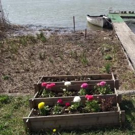 Duna Relax & Event Hotel, Ráckeve - Környék