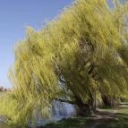 Duna Relax & Event Hotel Ráckeve - Környék